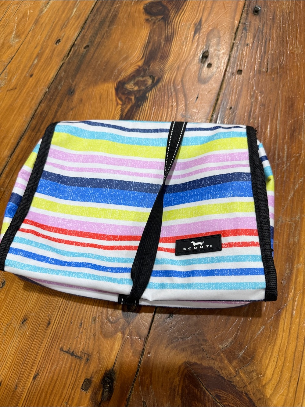 Scout Multicolor Striped Cosmetic Pouch in Red, Blue, Yellow, Pink, Green - Picture 8 of 8